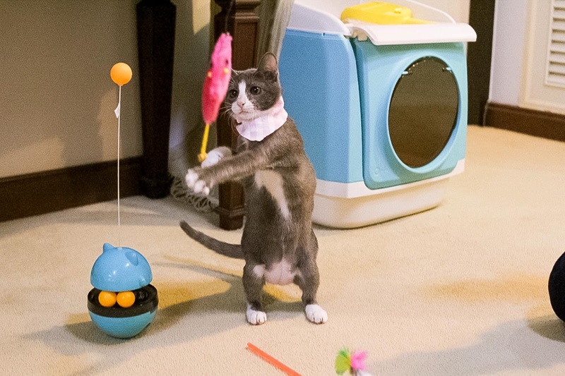 น้องลูซีล น้องลูซีล