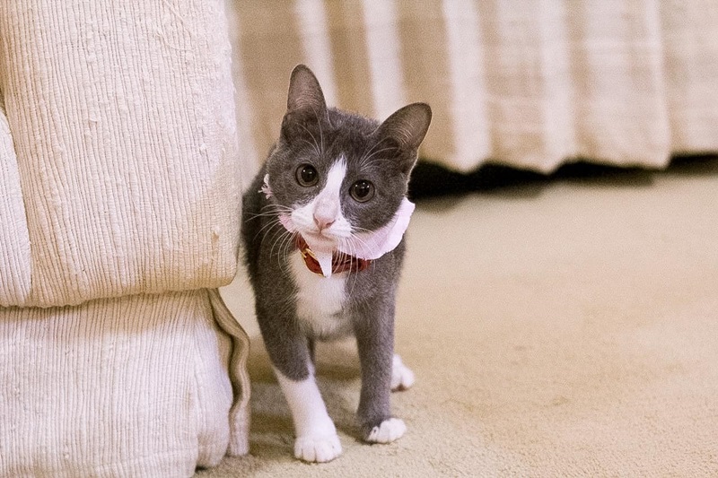 น้องลูซีล น้องลูซีล