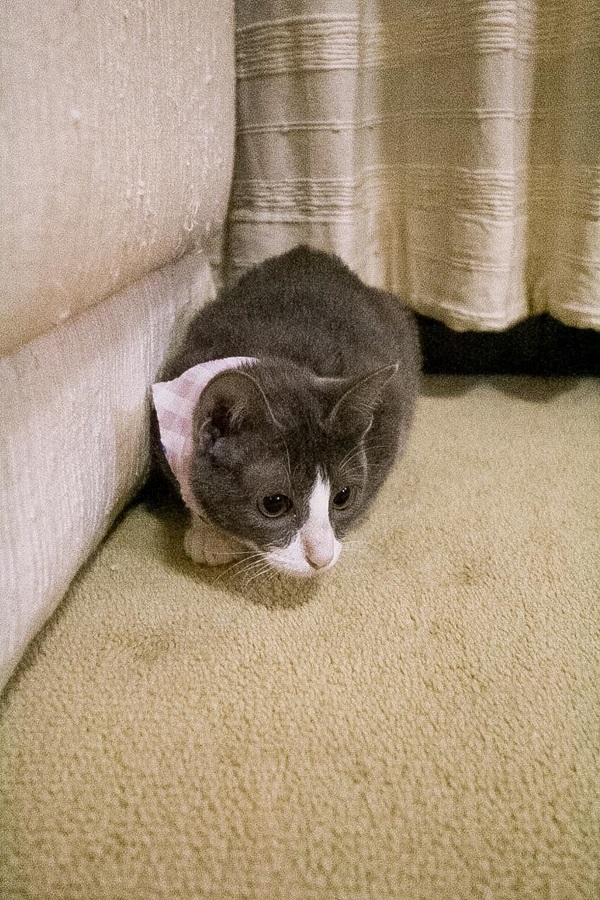 น้องลูซีล น้องลูซีล