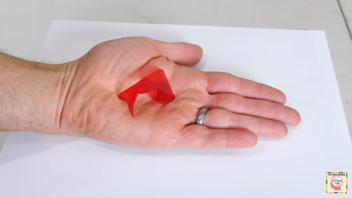 Fortune Teller Fish Fortune Teller Fish