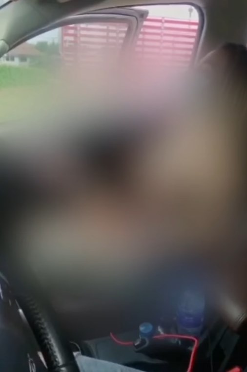 สาวให้ FC ดูดนม สาวให้ FC ดูดนม