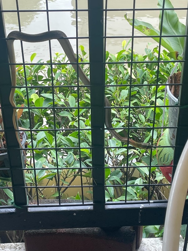 น้ำท่วมบ้าน น้ำท่วมบ้าน