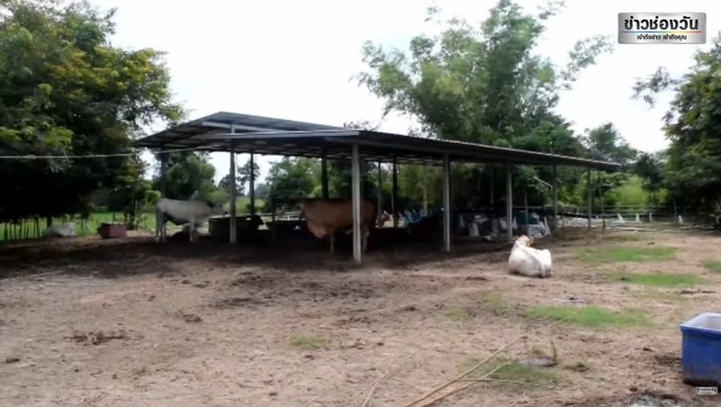 แสงประหลาด แสงประหลาด