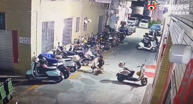 อนาจารผู้หญิง อนาจารผู้หญิง