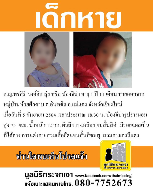 ข่าวน้องจีน่า ข่าวน้องจีน่า