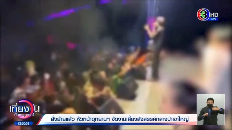 โคโยตี้เขาใหญ่ โคโยตี้เขาใหญ่