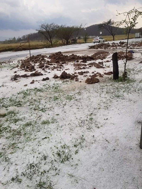 ลูกเห็บตก พะเยา ลูกเห็บตก พะเยา