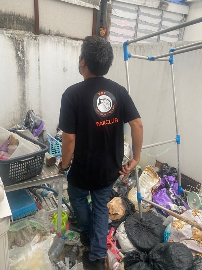 แมวส้มถูกทิ้ง แมวส้มถูกทิ้ง