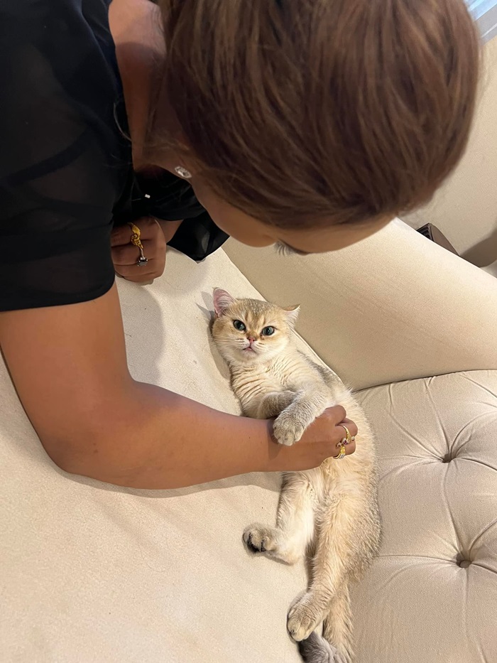 แอนนา แอนนา