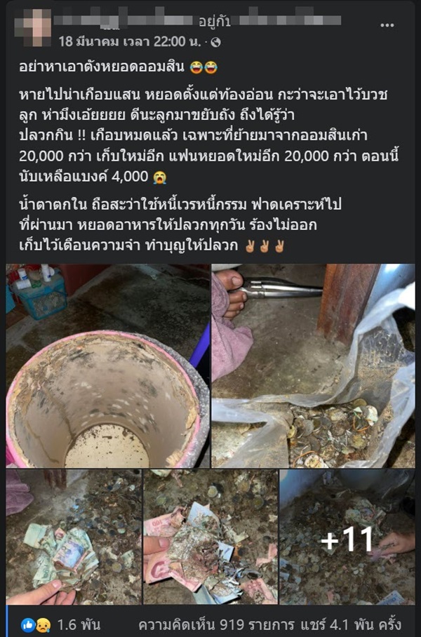 ปลวกกินเงิน ปลวกกินเงิน