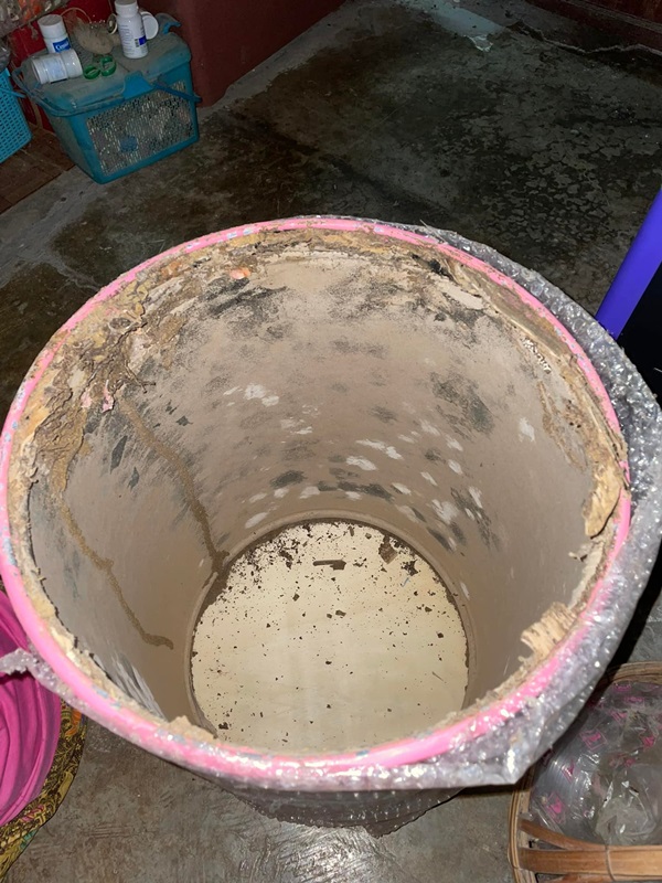 ปลวกกินเงิน ปลวกกินเงิน