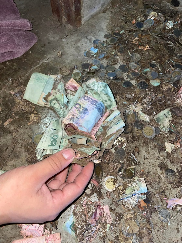 ปลวกกินเงิน ปลวกกินเงิน