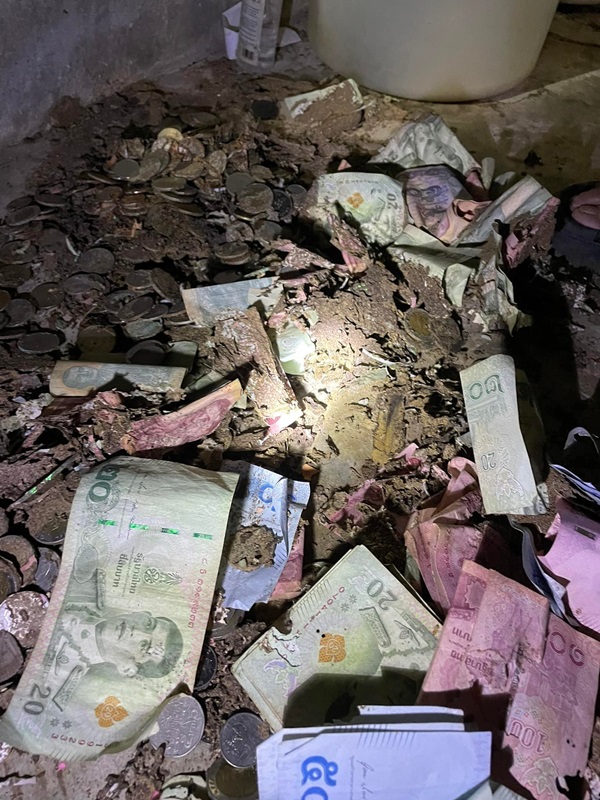 ปลวกกินเงิน ปลวกกินเงิน