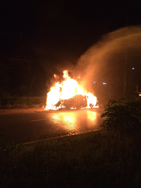 ไฮโซปลาวาฬ ไฮโซปลาวาฬ