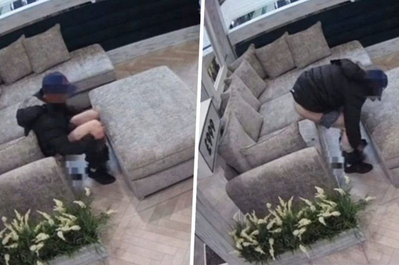 อุจจาระลงโซฟา อุจจาระลงโซฟา