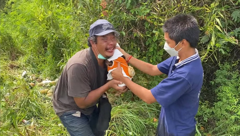 ตามหาหมา ตามหาหมา