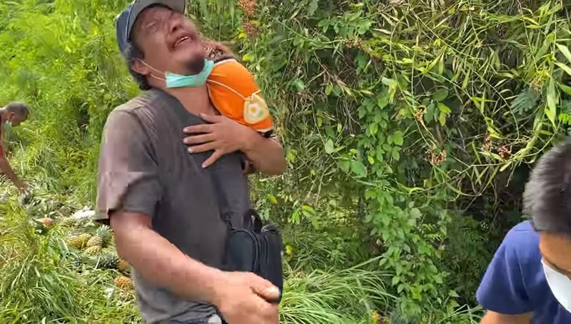 ตามหาหมา ตามหาหมา