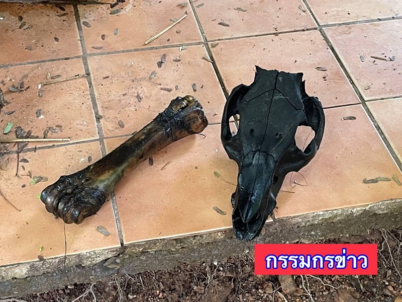 โอ่งน้ำทิพย์ พระบิดา โอ่งน้ำทิพย์ พระบิดา