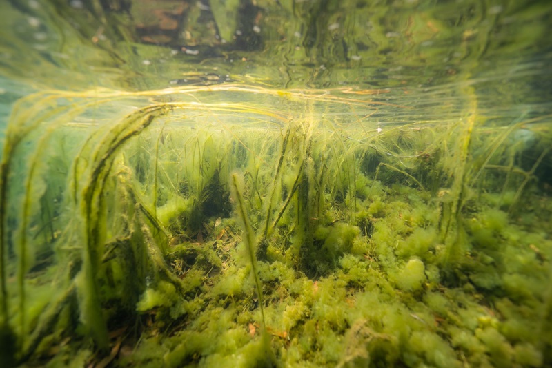 ดราม่าดำน้ำจืด ขุมน้ำท่าแตง ดราม่าดำน้ำจืด ขุมน้ำท่าแตง