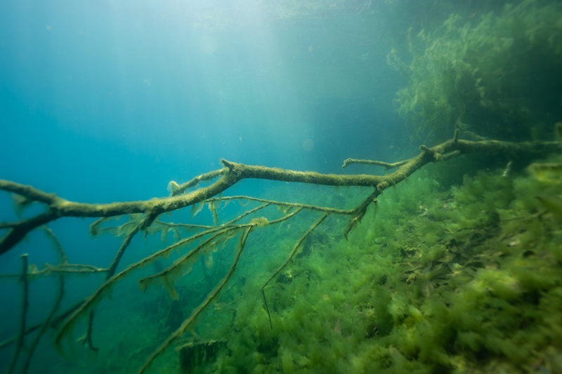 ดราม่าดำน้ำจืด ขุมน้ำท่าแตง ดราม่าดำน้ำจืด ขุมน้ำท่าแตง