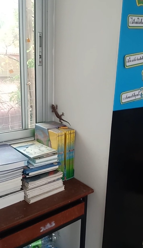 บ้านพักครู บ้านพักครู