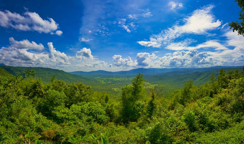 วังน้ำเขียว วังน้ำเขียว