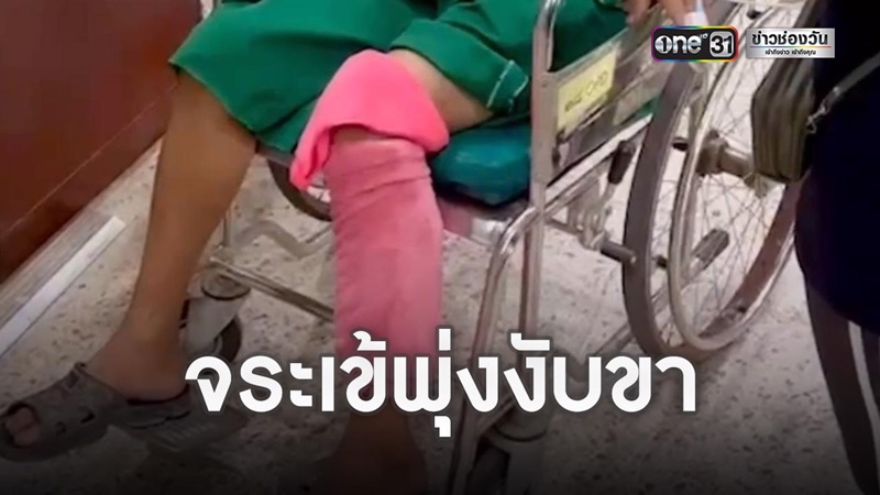 จระเข้งับขา จระเข้งับขา