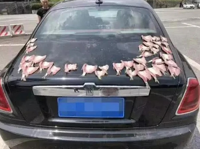 ตากปลาบนรถหรู ตากปลาบนรถหรู