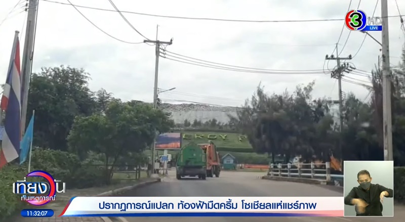 ฝูงนก ฝูงนก