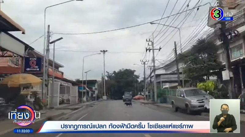 ฝูงนก ฝูงนก