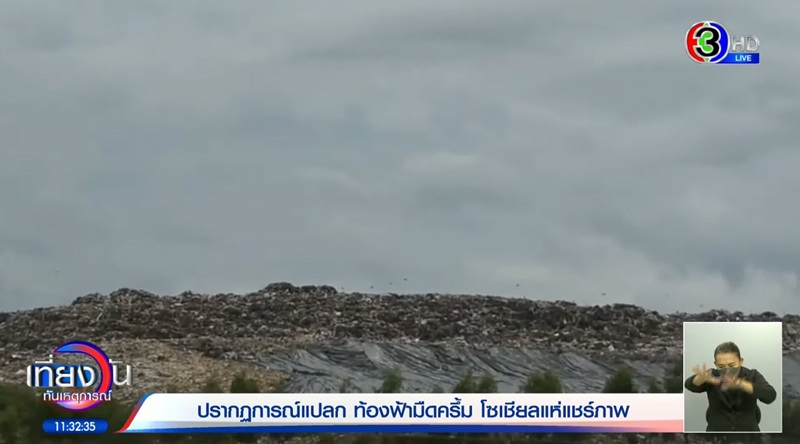 ฝูงนก ฝูงนก