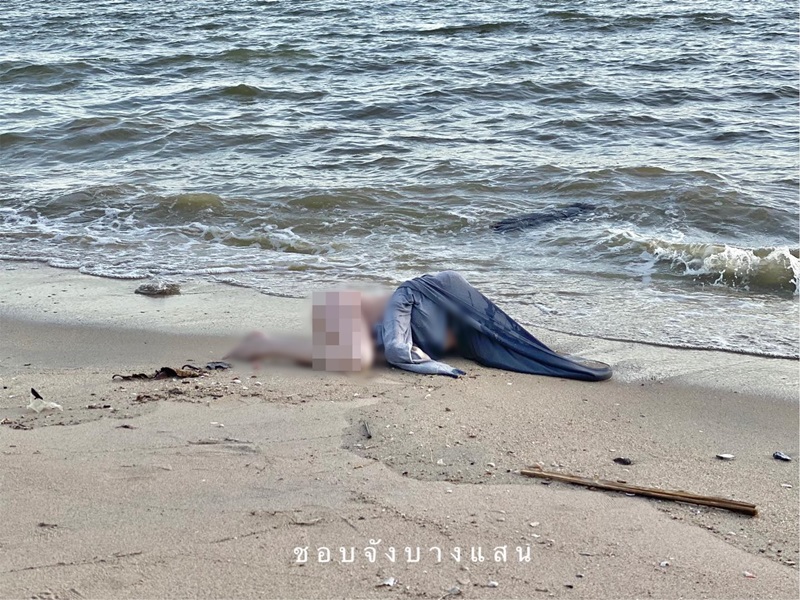 ตุ๊กตายางเกยหาด ตุ๊กตายางเกยหาด