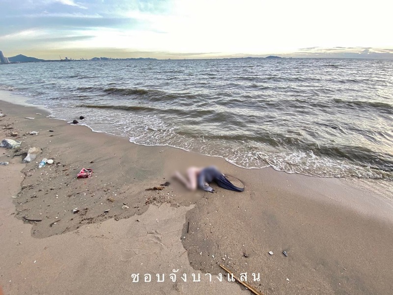 ตุ๊กตายางเกยหาด ตุ๊กตายางเกยหาด