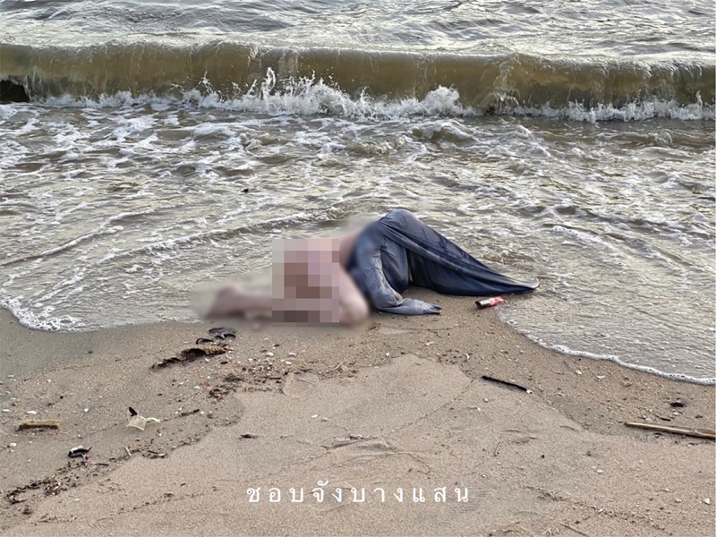 ตุ๊กตายางเกยหาด ตุ๊กตายางเกยหาด