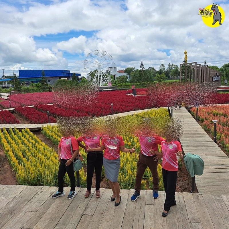 ดูงานเขาค้อ ดูงานเขาค้อ