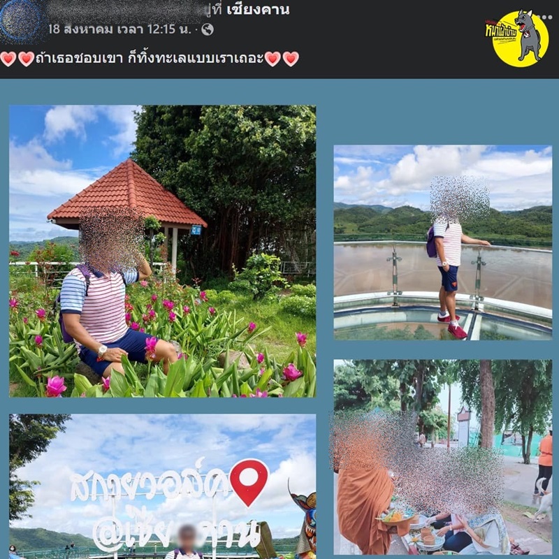 ดูงานเขาค้อ ดูงานเขาค้อ