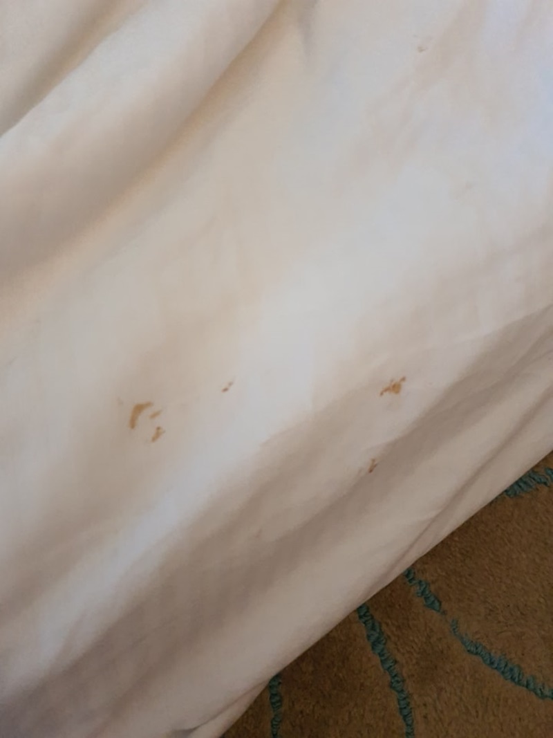 คราบเลือด อสุจิ บนผ้าปูเตียงโรงแรมหรู คราบเลือด อสุจิ บนผ้าปูเตียงโรงแรมหรู