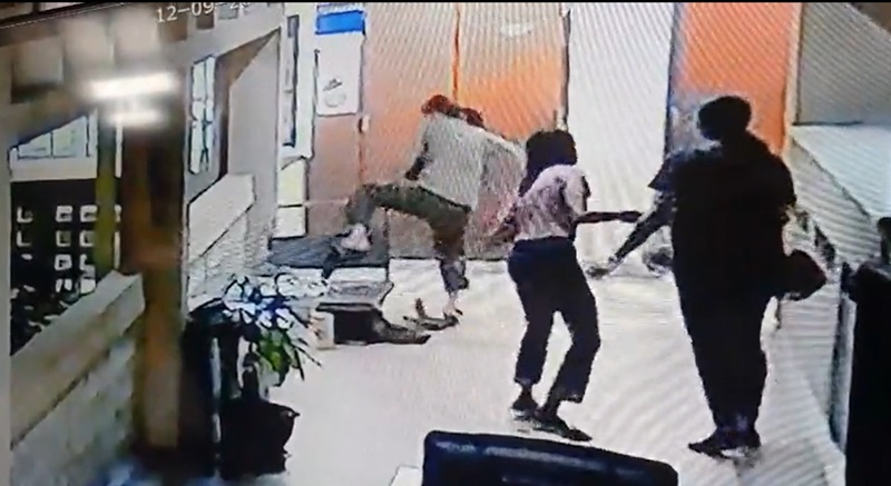 งูฉก งูฉก