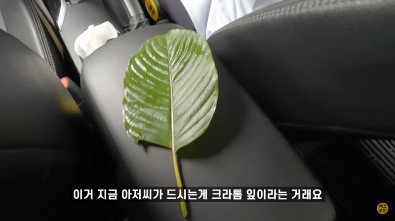 ยูทูบเบอร์เกาหลี ยูทูบเบอร์เกาหลี