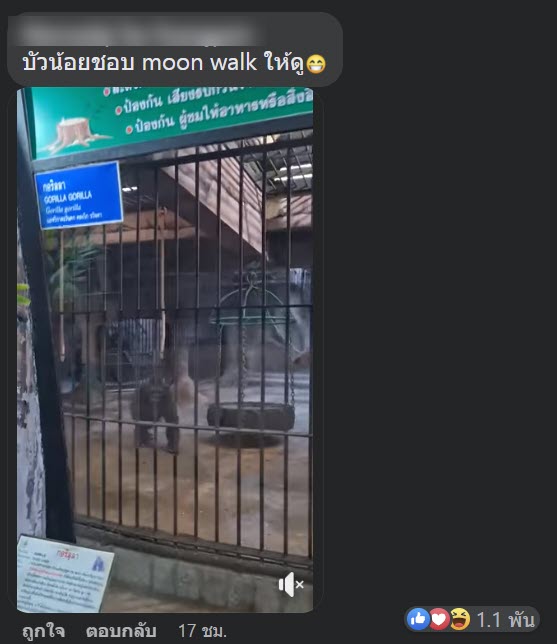 สวนสัตว์พาต้า สวนสัตว์พาต้า