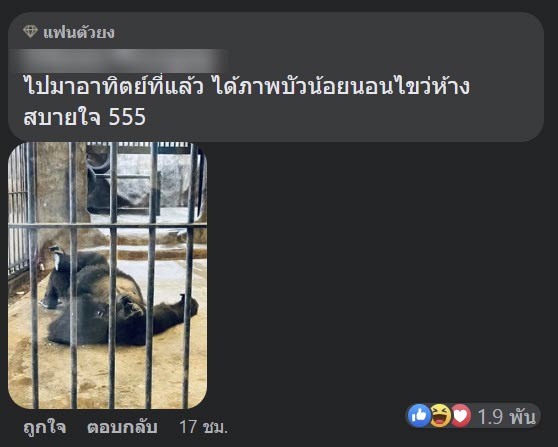 สวนสัตว์พาต้า สวนสัตว์พาต้า