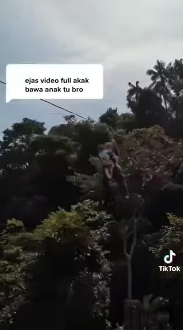 อุ้มลูกเล่นซิปไลน์ อุ้มลูกเล่นซิปไลน์