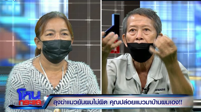 ลุงฆ่าแมว ลุงฆ่าแมว