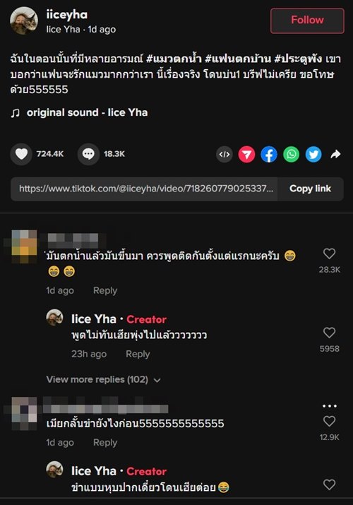 แมวตกน้ำ แมวตกน้ำ