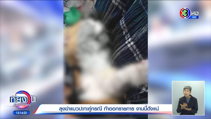 ลุงฆ่าแมว ลุงฆ่าแมว