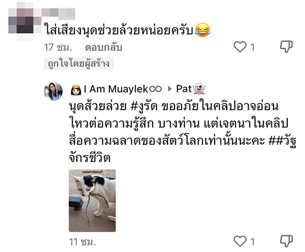 งูเขียวพันคอแมว งูเขียวพันคอแมว