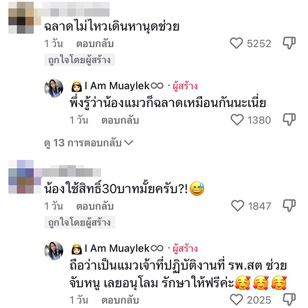 งูเขียวพันคอแมว งูเขียวพันคอแมว