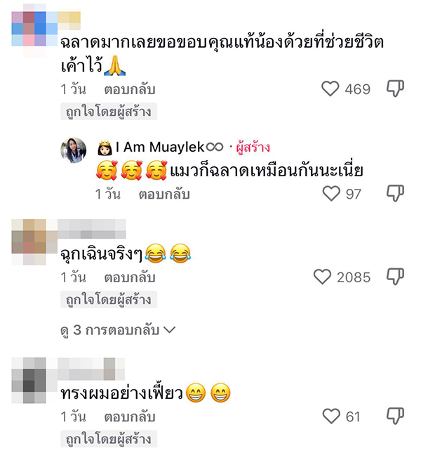 งูเขียวพันคอแมว งูเขียวพันคอแมว