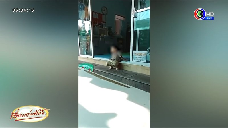 แฉเนิร์สเซอรี แฉเนิร์สเซอรี