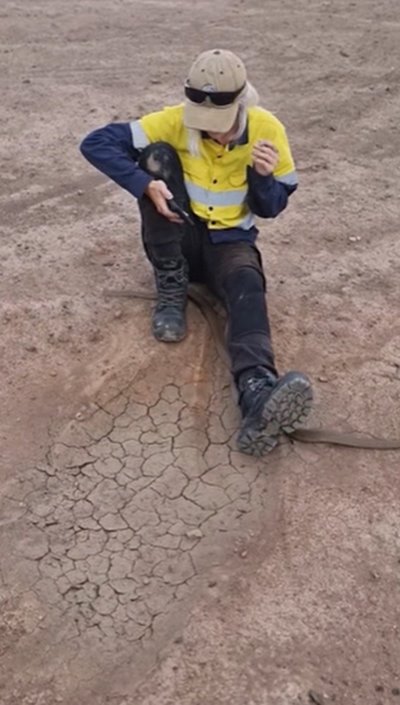 งูเลื้อยผ่านขา งูเลื้อยผ่านขา